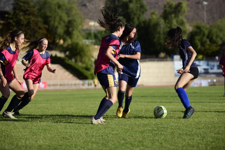 Así se jugará la Fecha 8 del Fútbol Soprole UC con varios partidos pendientes